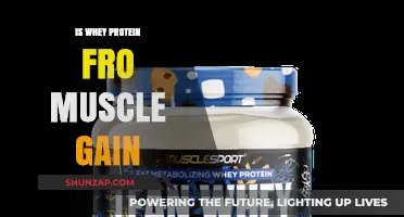 Whey Protein for Muscle Gain: Benefits, Usage, and Results Explained