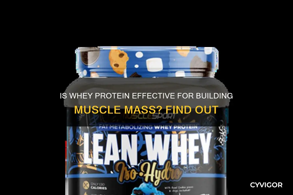 is whey protein good for gaining muscle mass