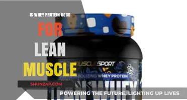 Unlocking Lean Muscle Gains: The Whey Protein Advantage