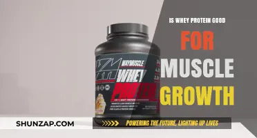 Is Whey Protein the Ultimate Muscle Growth Supplement?
