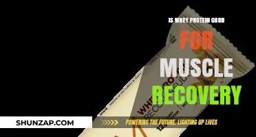 Whey Protein: The Ultimate Muscle Recovery Supplement?