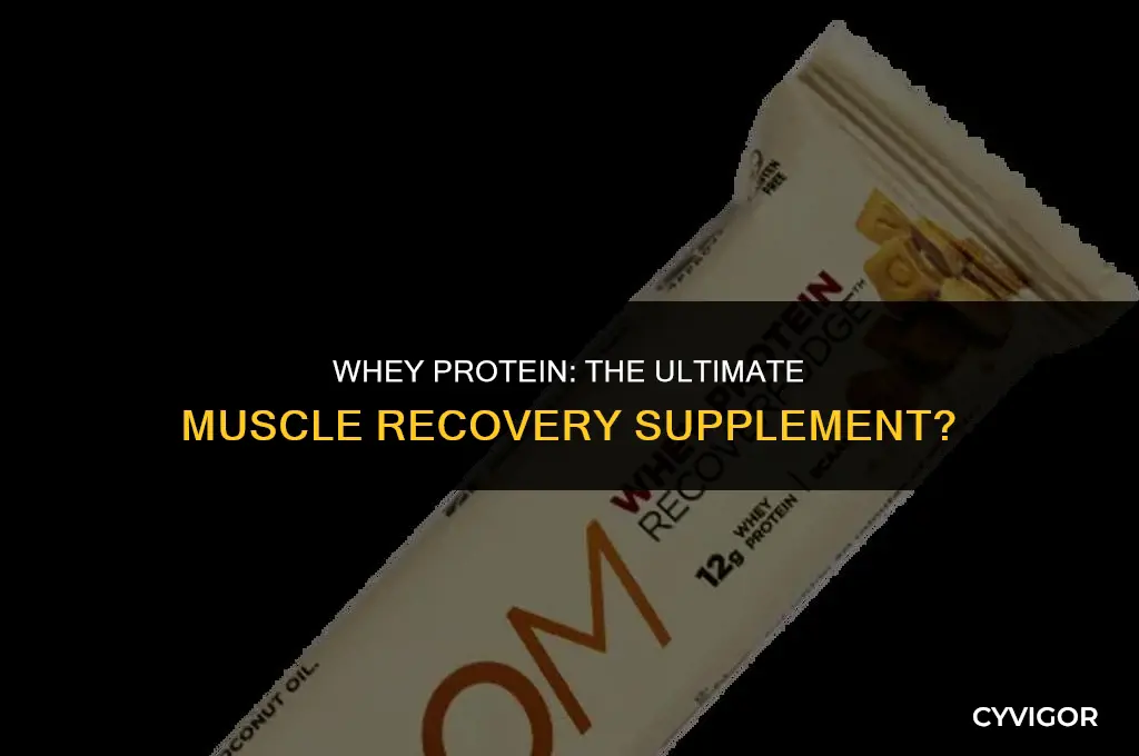 is whey protein good for muscle recovery