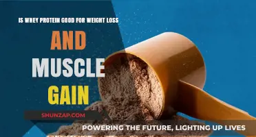 Whey Protein: Effective for Weight Loss and Muscle Gain?