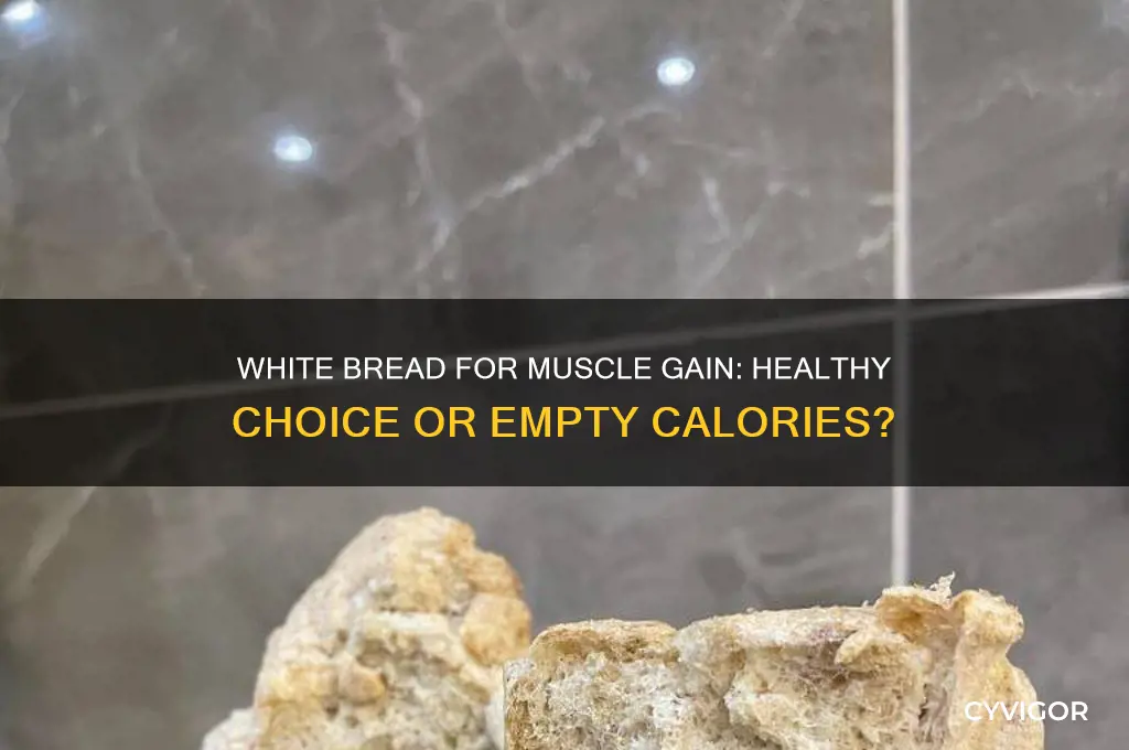 is white bread good for gaining muscle
