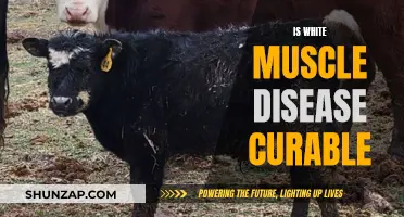 White Muscle Disease: Treatable and Manageable?