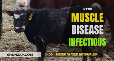 Understanding White Muscle Disease: Is It Contagious?