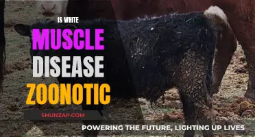 Understanding White Muscle Disease: Zoonotic Potential and Risks