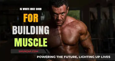 Fuel Your Gains: The Truth About White Rice and Muscle Building