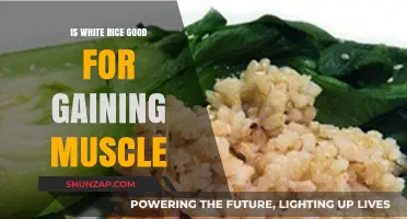 White Rice for Muscle Gain: Benefits, Myths, and Best Practices