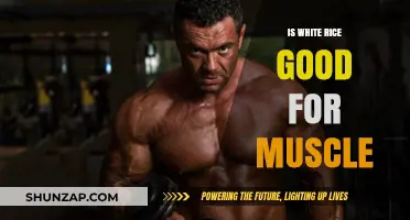 Fuel Your Gains: The Truth About White Rice and Muscle Building