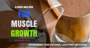 Whole Milk: A Surprising Ally in Your Muscle Growth Journey
