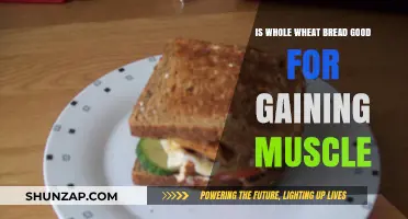 Whole Wheat Bread for Muscle Gain: Benefits and Best Practices