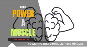 Will Power: Can It Be Exercised Like a Muscle?
