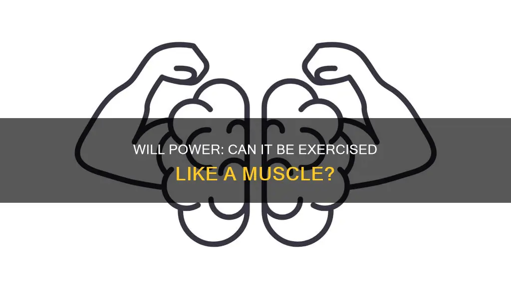 is will power a muscle