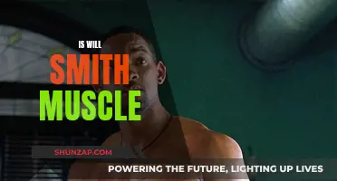 Will Smith's Muscular Transformation: Secrets Behind His Physique