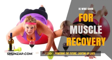 Sipping to Strength: The Surprising Truth About Wine and Muscle Recovery