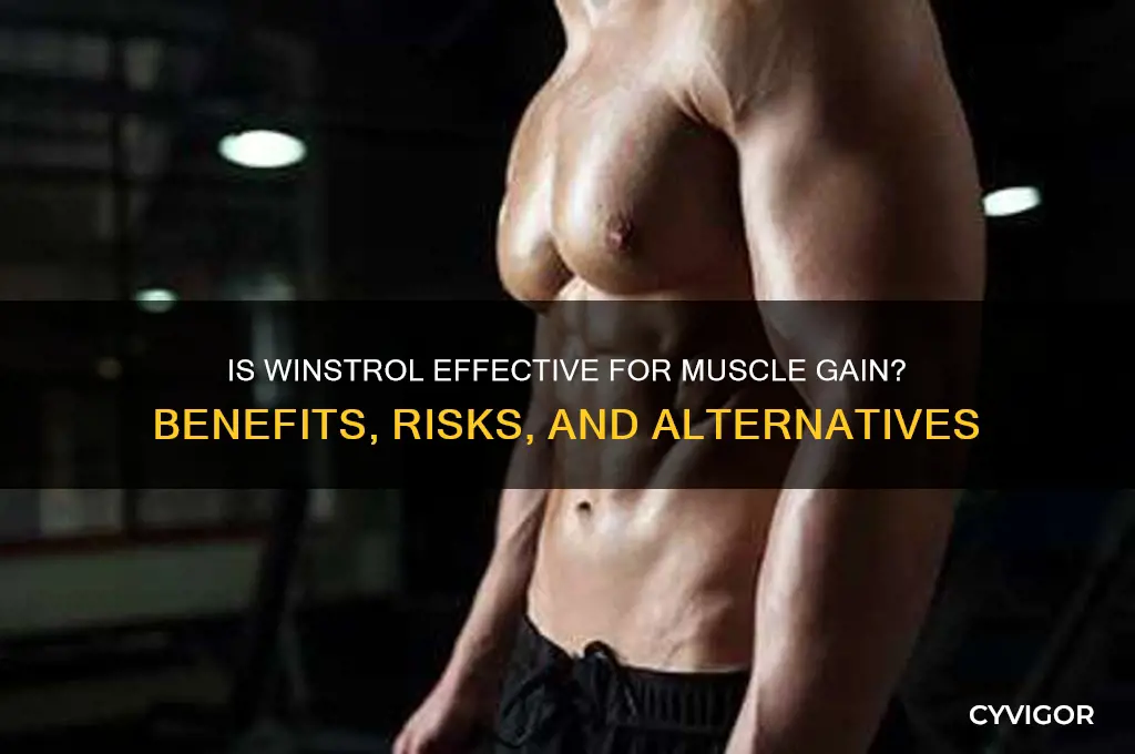 is winstrol good for muscle gain