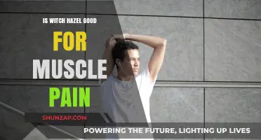 Witch Hazel for Muscle Pain: Natural Relief or Myth?