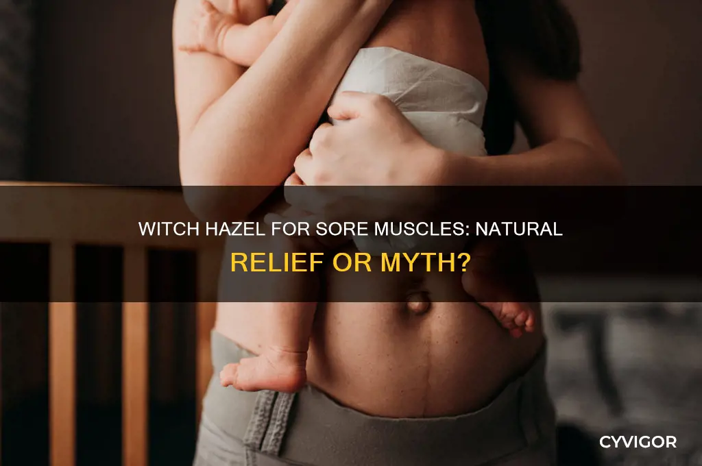 is witch hazel good for sore muscles