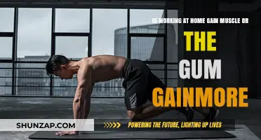 Home Workouts vs. Gym: Which Builds More Muscle Effectively?