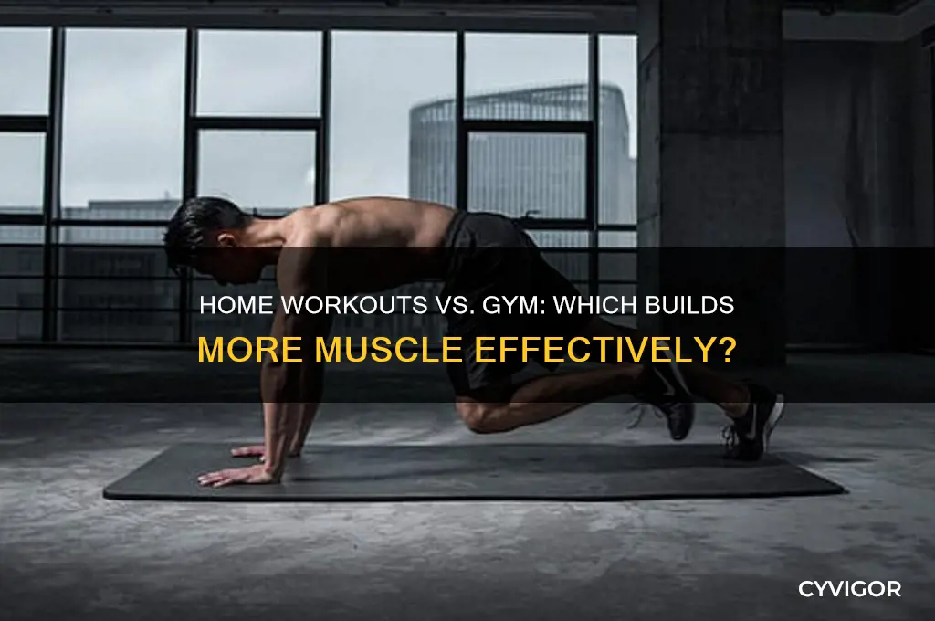 is working at home gain muscle or the gum gainmore