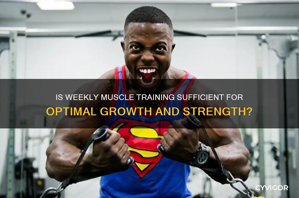 is working out a muscle once a week enough