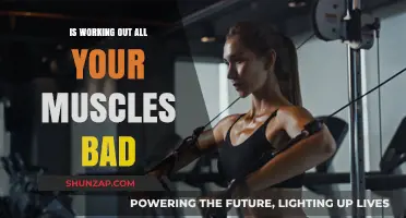 Is Full-Body Training Harmful? Debunking Muscle Workout Myths