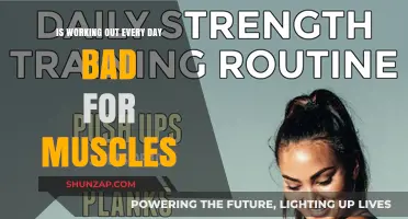 Daily Workouts: Muscle Recovery or Overuse Risk Explained