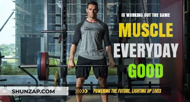 Daily Muscle Training: Benefits or Risks for Optimal Fitness?