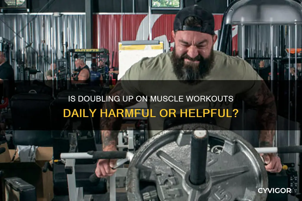 is working out the same muscle twice a day bad