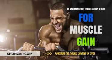 Double Daily Workouts: Effective Strategy for Muscle Gain or Overkill?