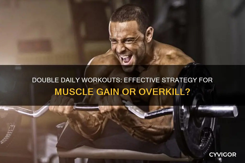 is working out twice a day good for muscle gain