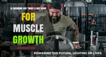 Twice-Daily Workouts: Effective Strategy for Muscle Growth or Overkill?