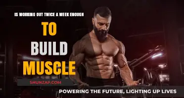 Can You Build Muscle with Just Two Workouts a Week?