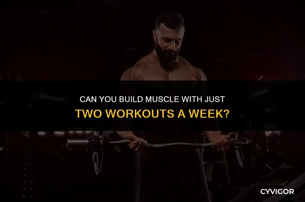 is working out twice a week enough to build muscle