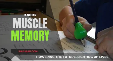 Writing: Muscle Memory, Art, and Science