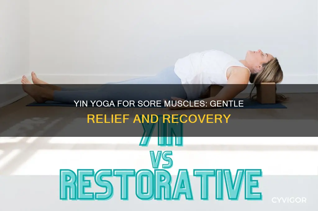 Yin Yoga For Sore Muscles Gentle Relief And Recovery CyVigor yin-yoga-for-sore-muscles-gentle-relief-and-recovery-cyvigor
