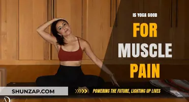Yoga for Muscle Pain: Effective Relief or Just a Stretch?