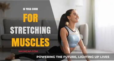 Unlocking Flexibility: The Power of Yoga for Muscle Stretching