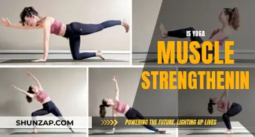 Yoga: Muscle Strengthening and Toning Workout