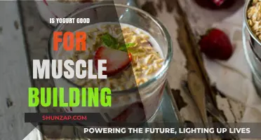 Yogurt's Role in Muscle Building: A Comprehensive Guide