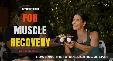 Fuel Your Fitness: The Surprising Benefits of Yogurt for Muscle Recovery