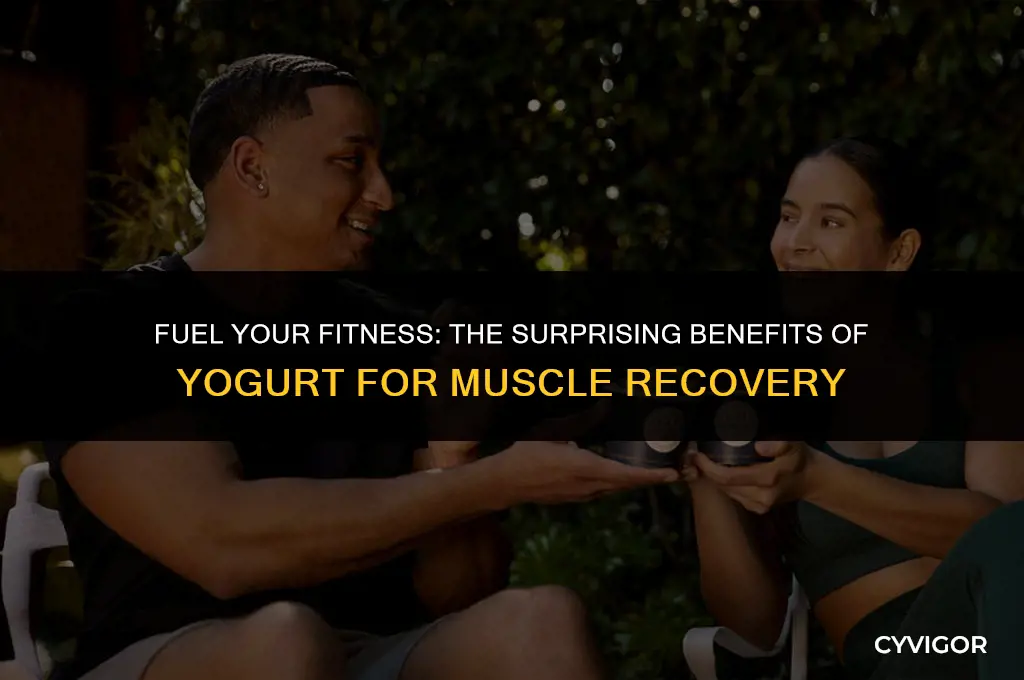 is yogurt good for muscle recovery