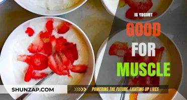Fuel Your Fitness: The Surprising Benefits of Yogurt for Muscle Health