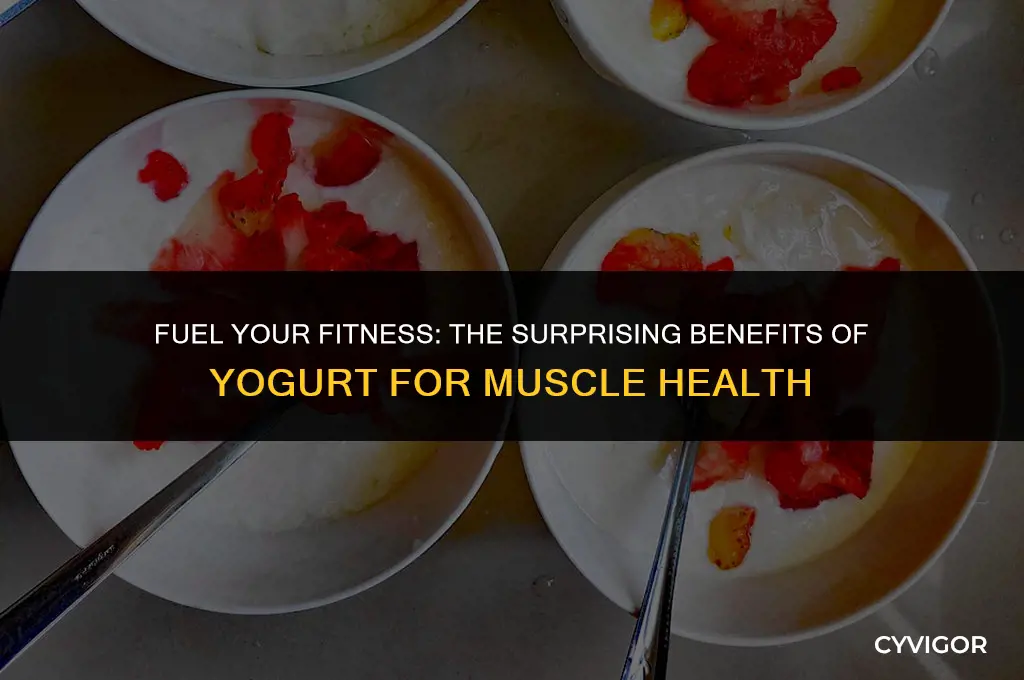 is yogurt good for muscle