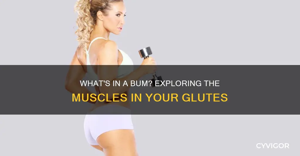 is your bum a muscle