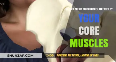 Core Muscles and Pelvic Floor: Unraveling the Nickel Connection