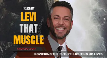 Zachary Levi's Muscular Transformation: How Did He Do It?