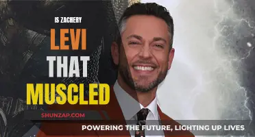 Zachery Levi's Muscular Transformation: Real or Illusion?