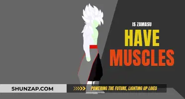 Zamasu's Physical Form: Muscular or Not?